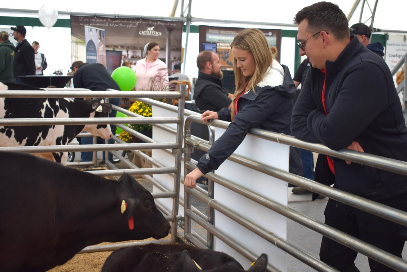 Livestock Central at Woodstock Farm Show